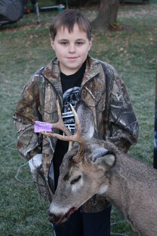 deer005.jpg