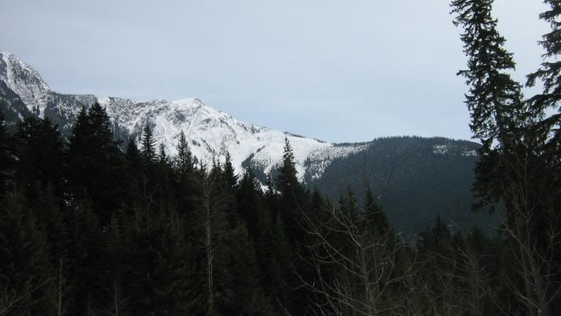 beaver2011009.jpg