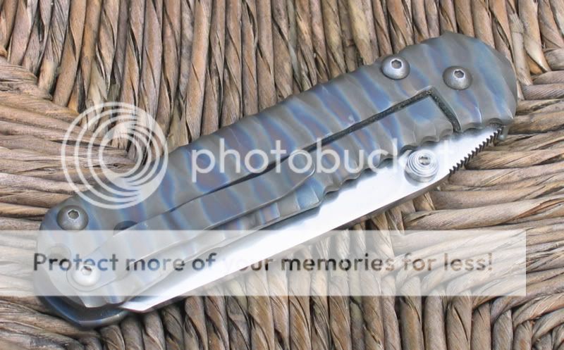 TigerstripedSebenza1.jpg