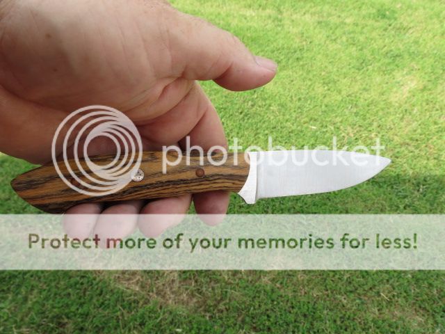 IMG_1896_zpse1963e2f.jpg