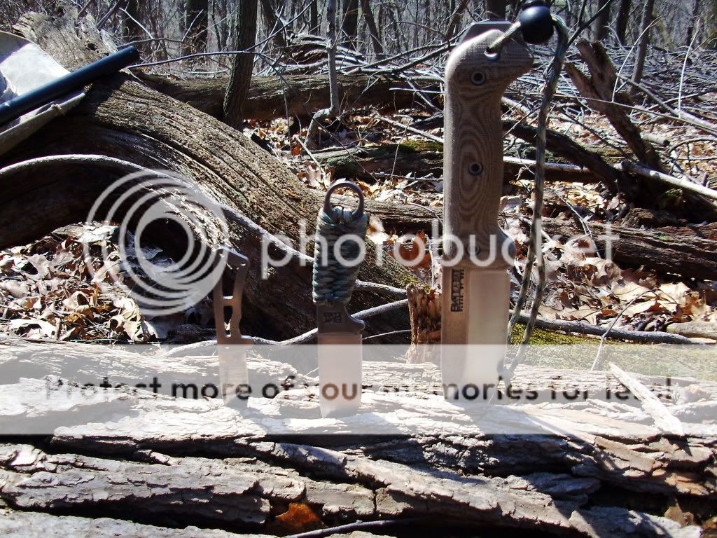 PICT0633.jpg