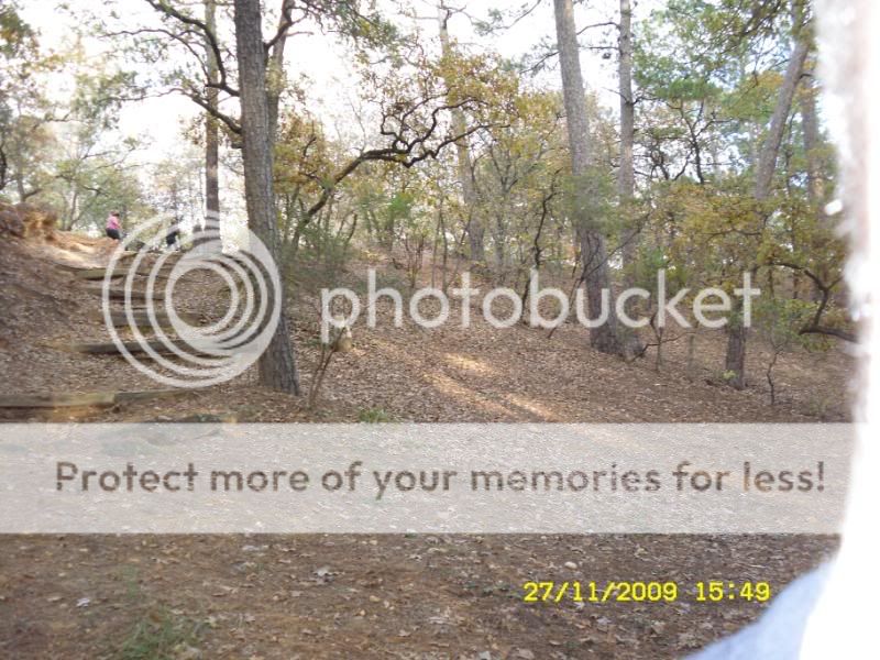 SDC12209.jpg