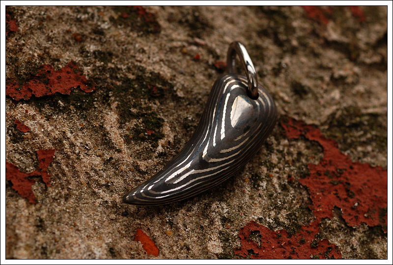 211109claw4.jpg