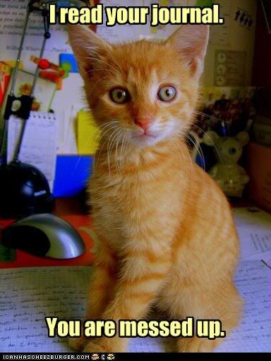 funny-pictures-kitten-read-your-jou.jpg