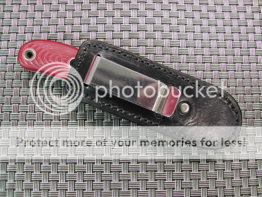 DSCN5290.jpg