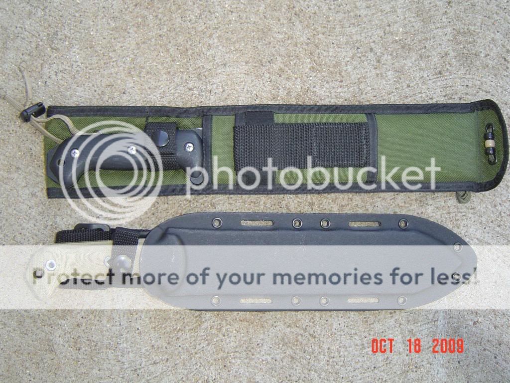 Picture039.jpg