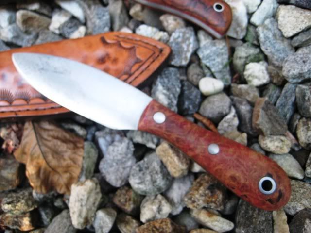 FiddleBacks003.jpg