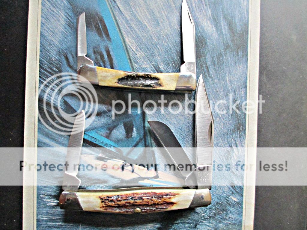 IMG_0456.jpg