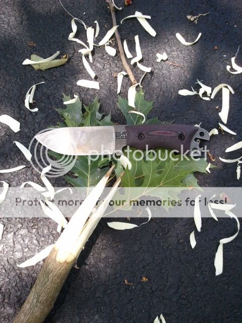 2012-07-03140924.jpg