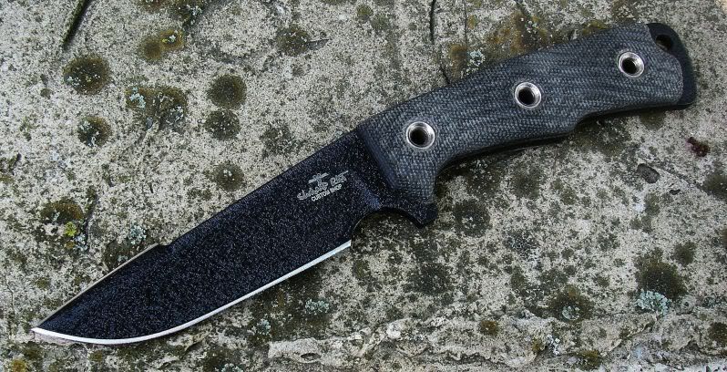 Rodent4Variant2.jpg