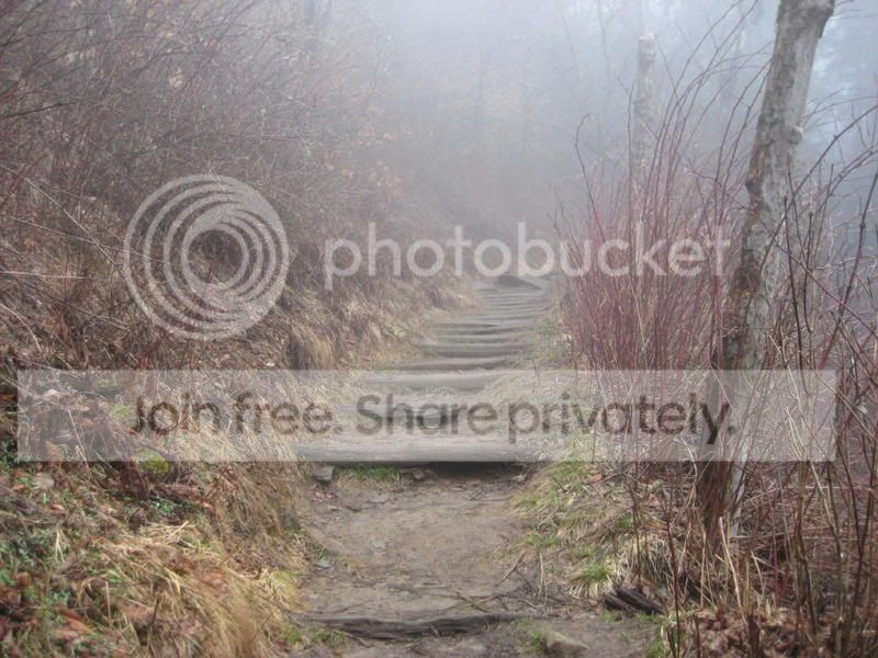 FoggyTrail_2.jpg