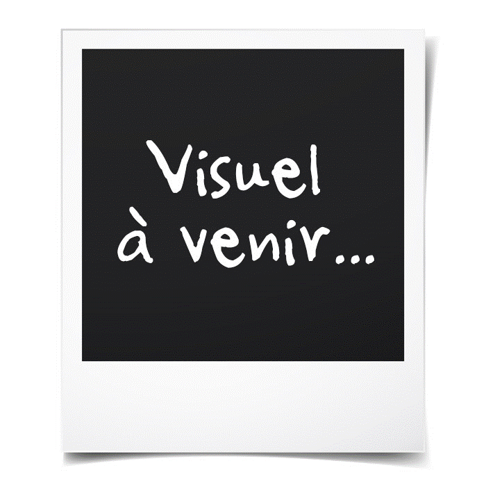 revex-hachette-platrier-600gr-em.jpg