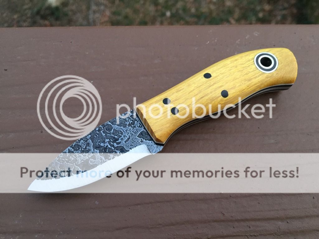 image_zpsxaqd900c.jpeg
