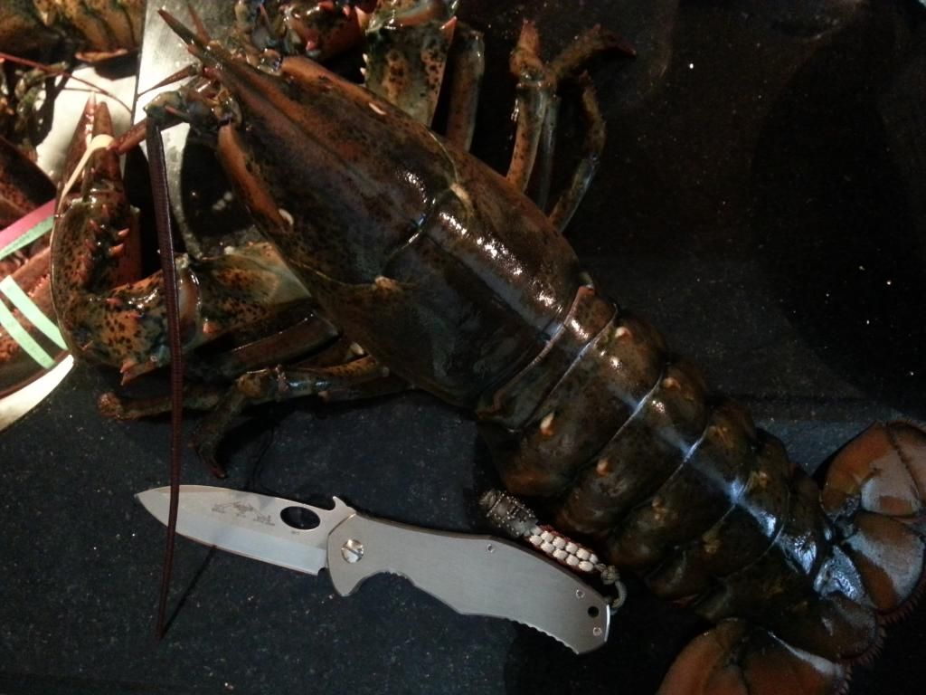 20140703_144409.jpg