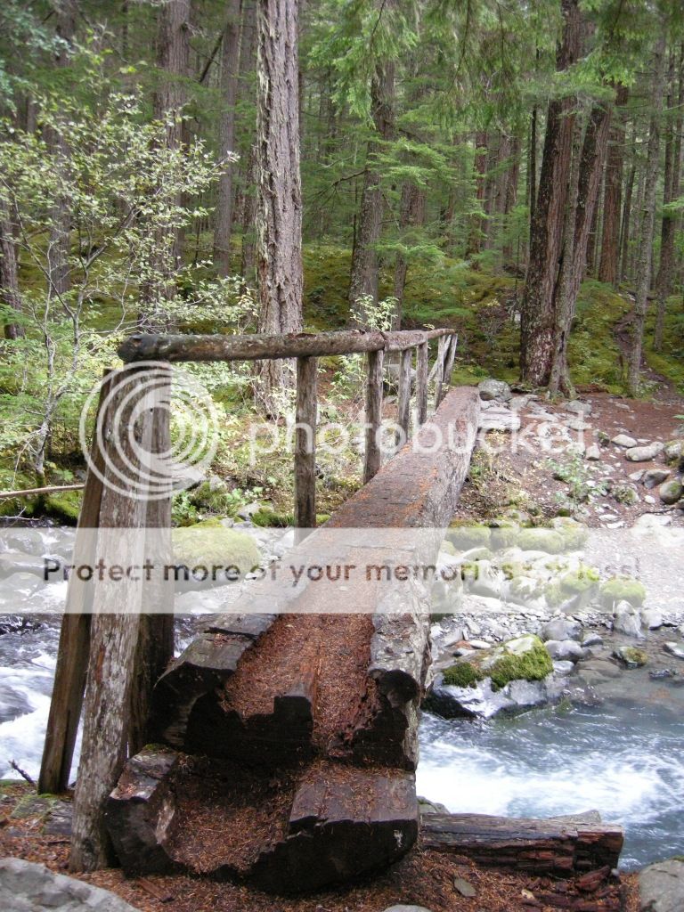DSCN2576.jpg