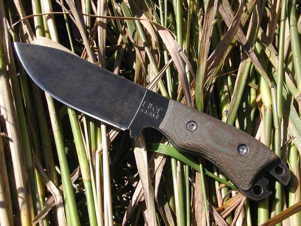 BK11Blued2.jpg