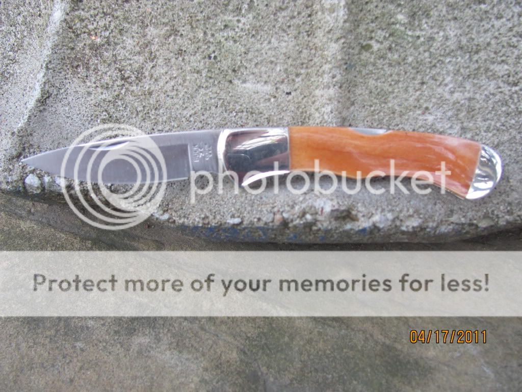 006-11.jpg