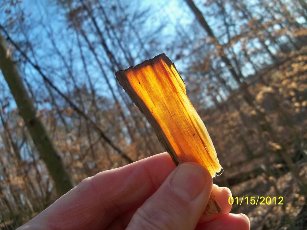 2012-01-15038.jpg
