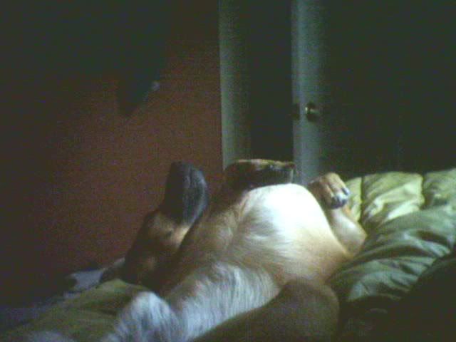 jedisleeping.jpg