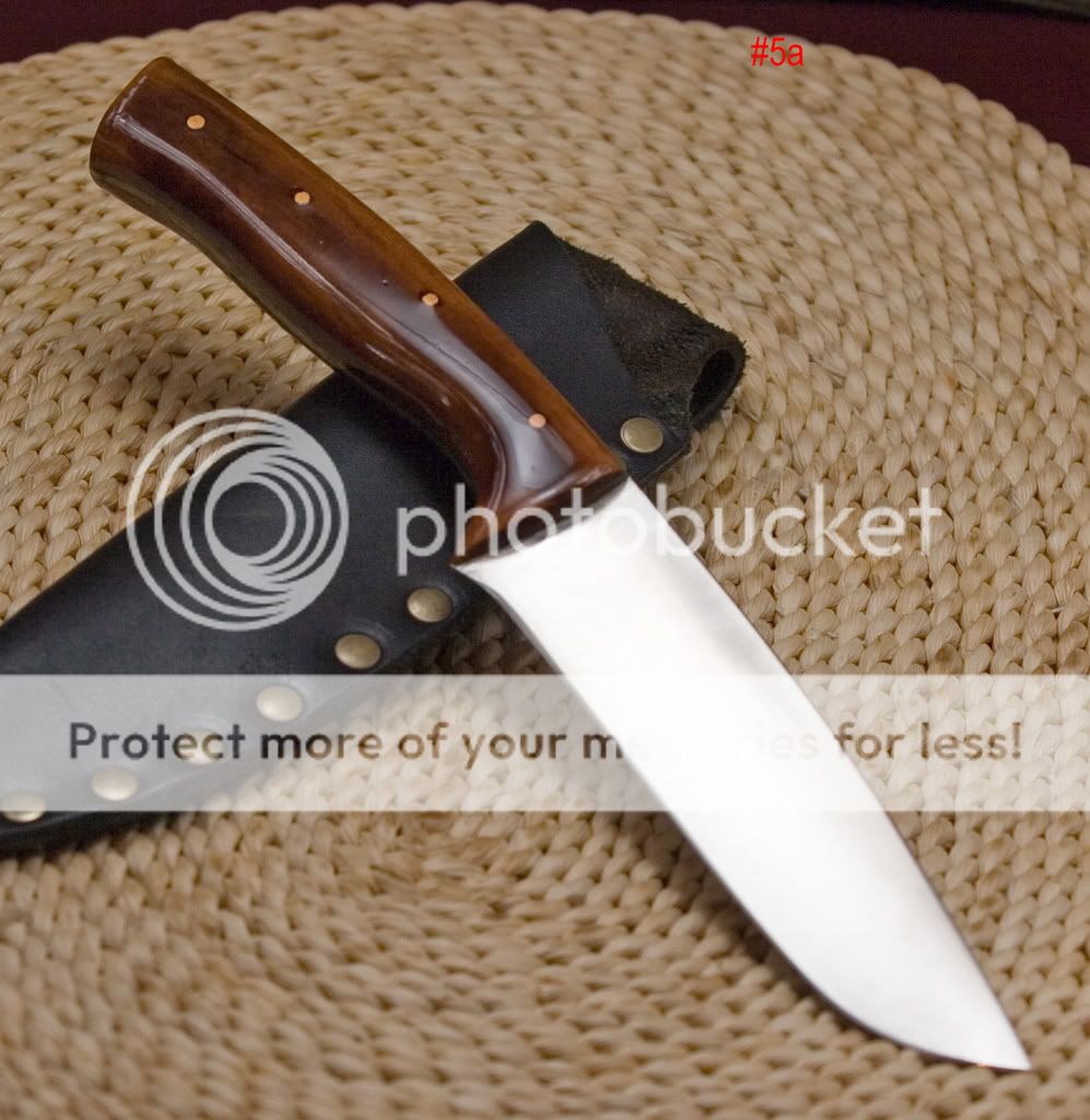 5a.jpg