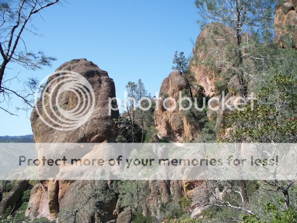 Pinnacles2010050.jpg