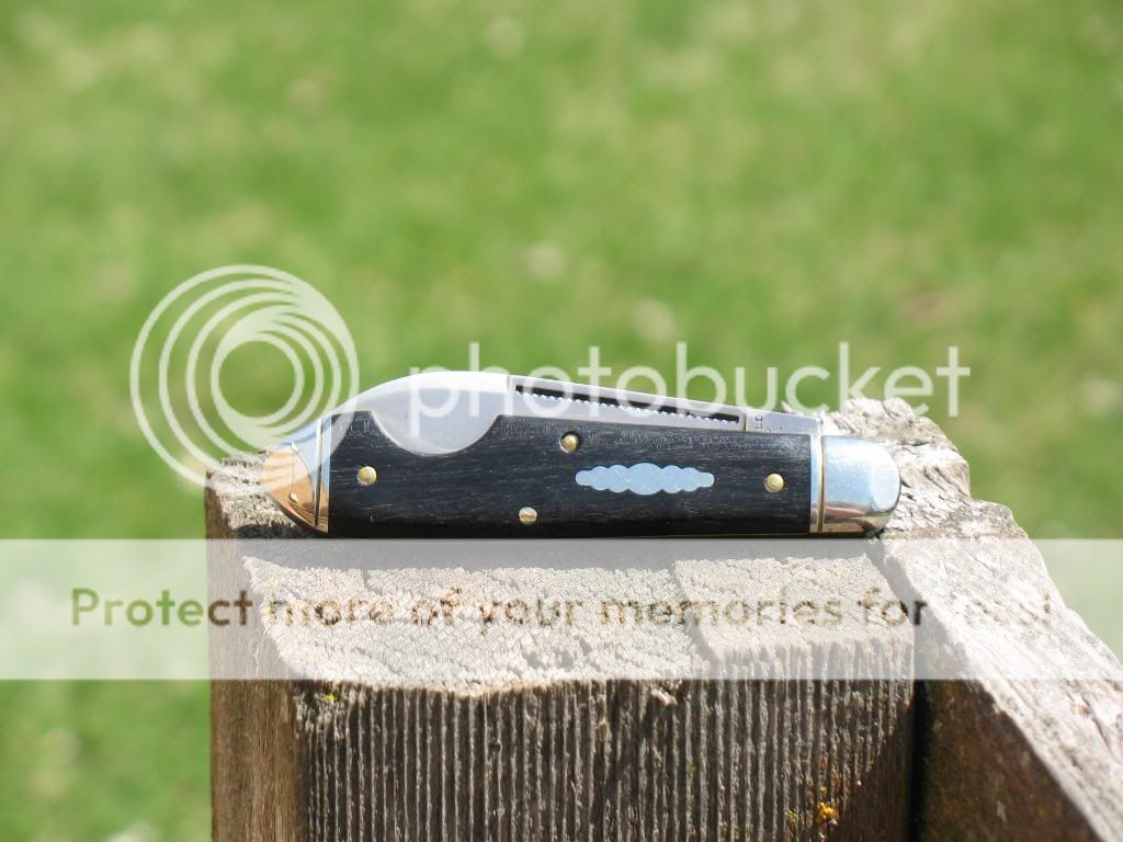 GEC85ez3_zpsd356b3f0.jpg