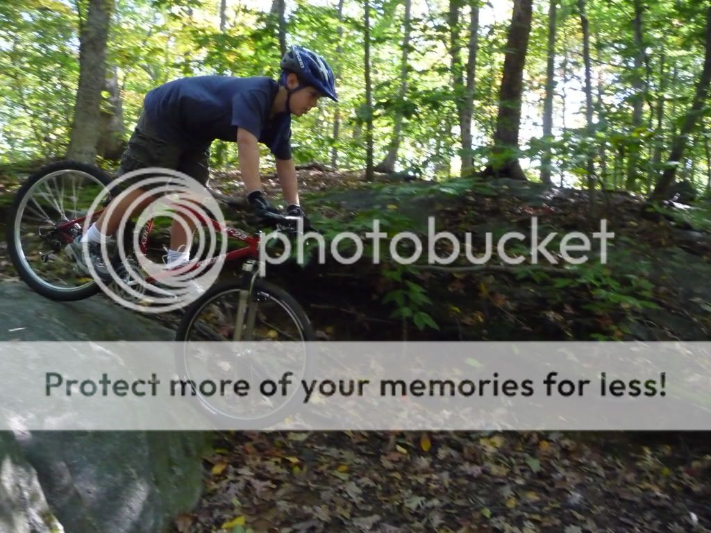 Autumn2010073.jpg