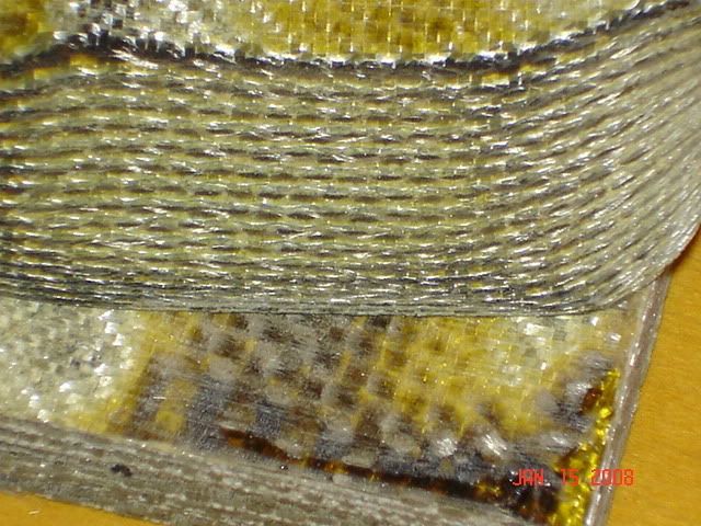 DSC01519.jpg