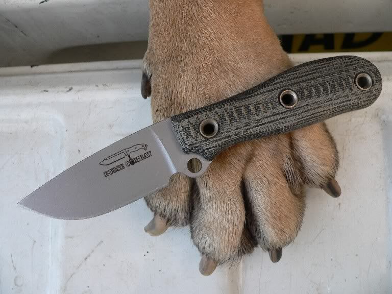 GameWarden1.jpg
