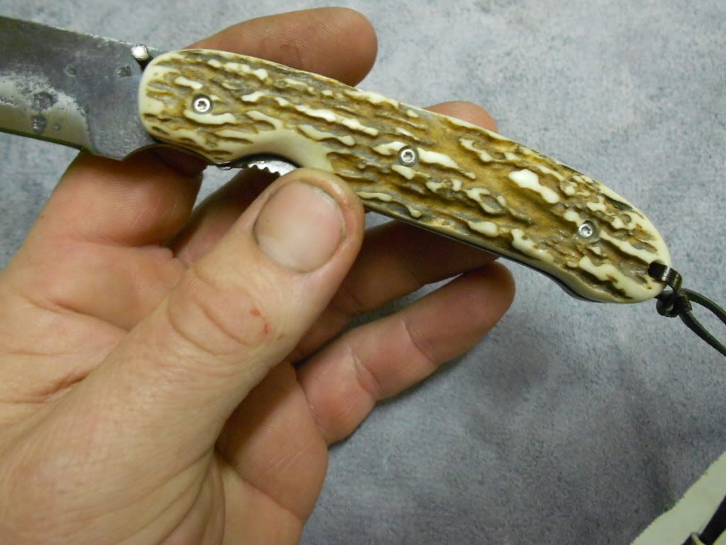 stagandmiseryfolder061.jpg