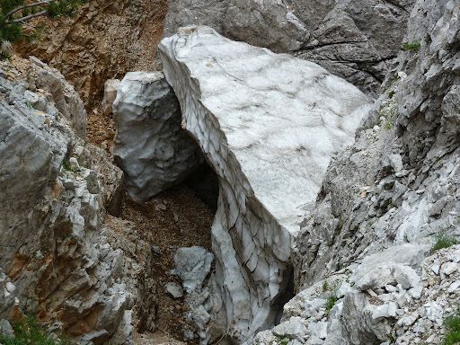 P1000900.JPG
