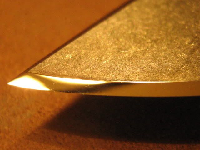 Picture1275.jpg