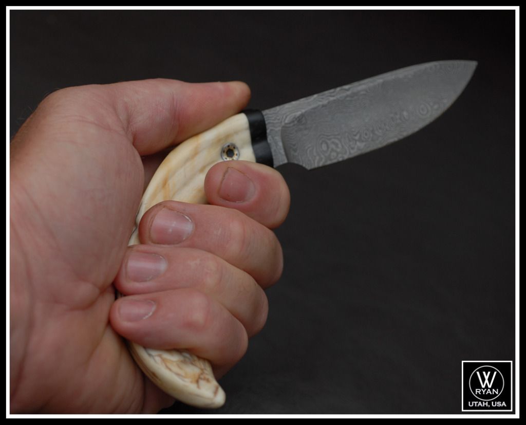 HogInHand.jpg