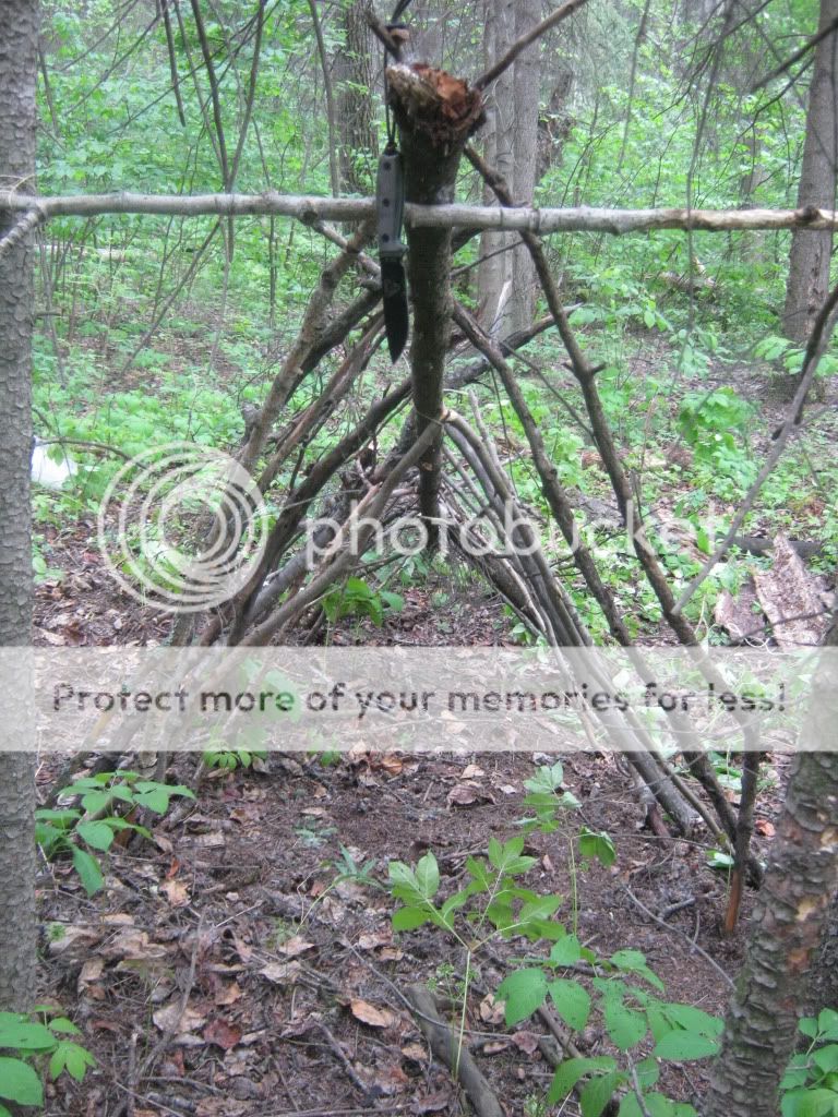 june192010020.jpg