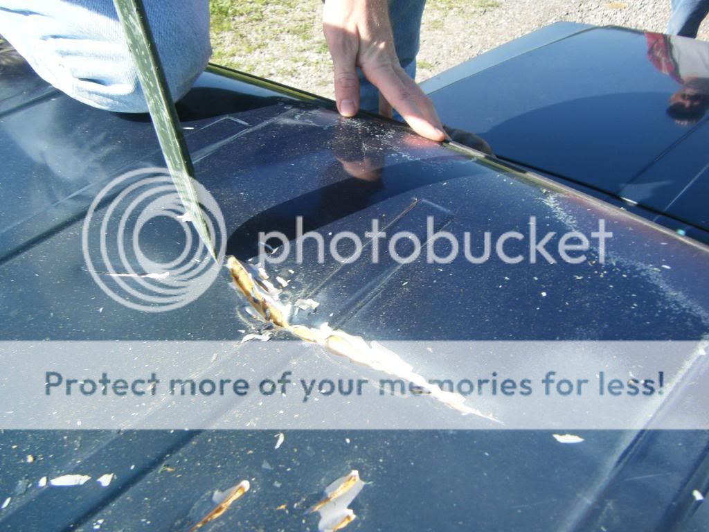 DSCF9172.jpg