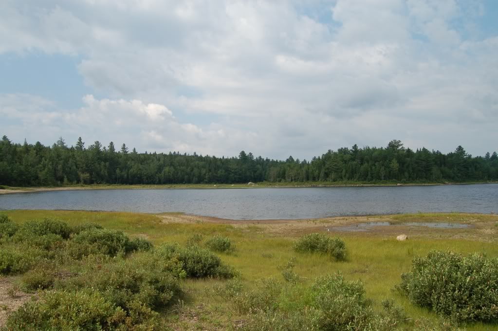 DSC_1712.jpg