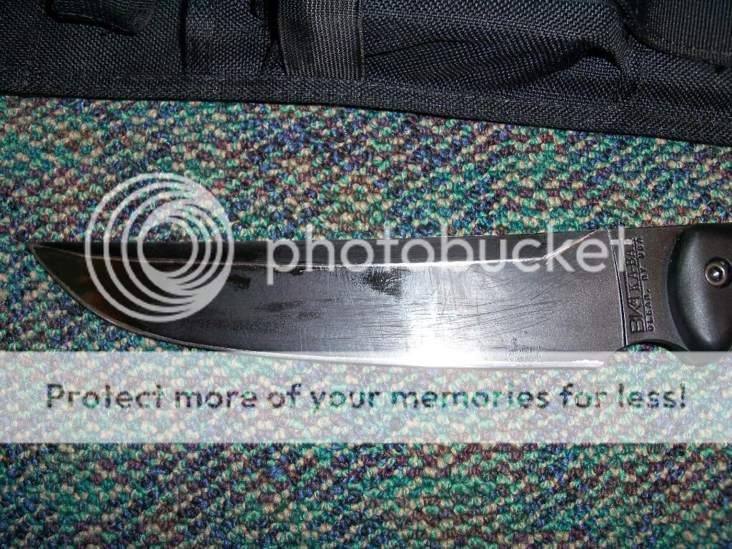 100_4586.jpg