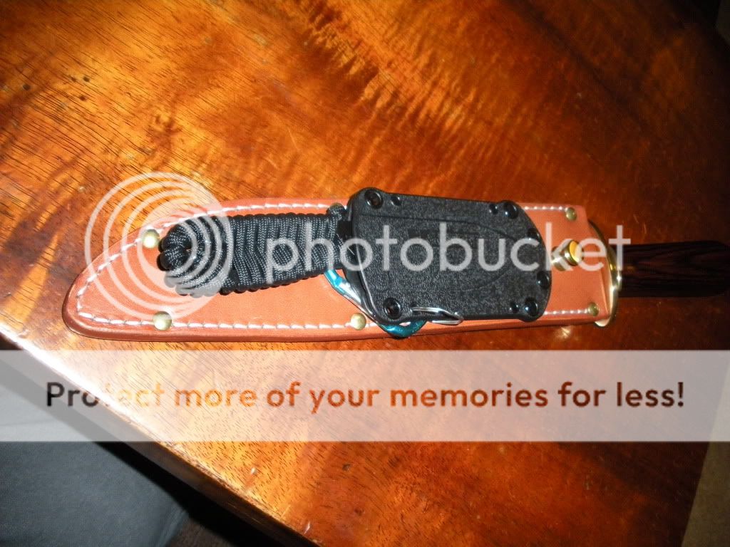 DSCN0672.jpg