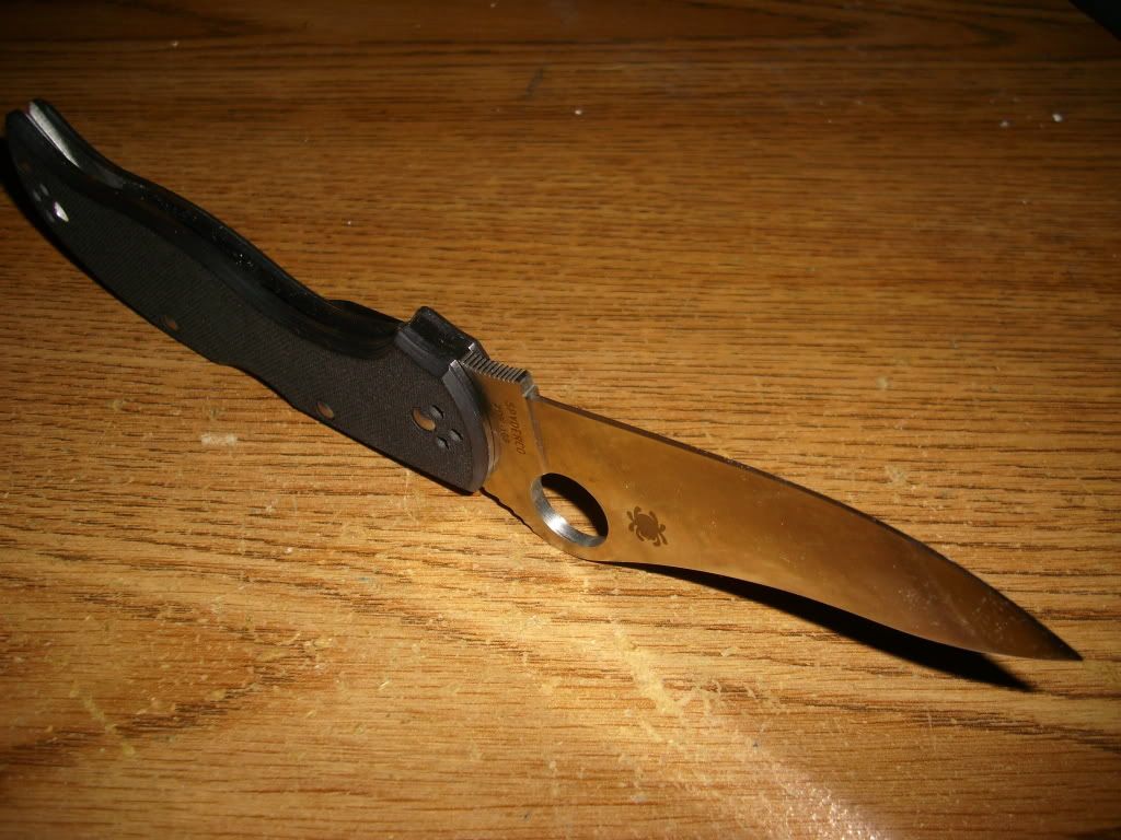 DSCI0536.jpg