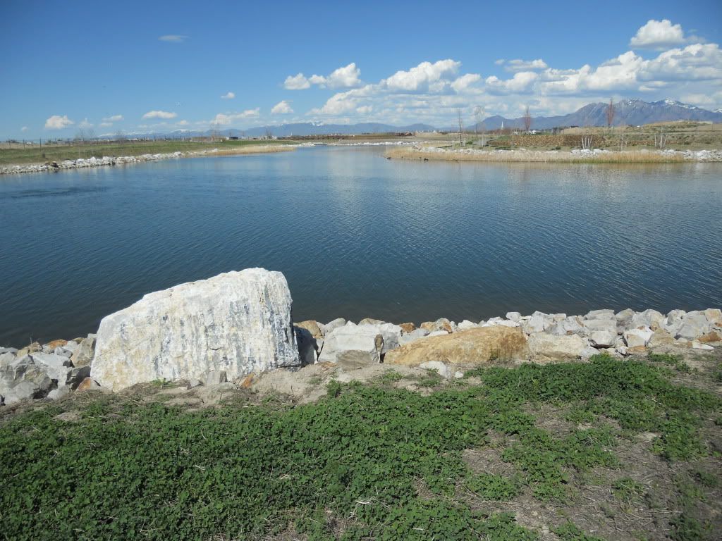 DSCN0311.jpg