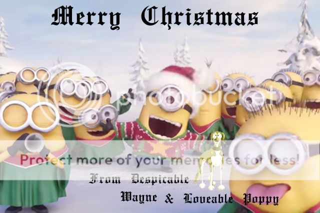 minion%20xmas.jpg