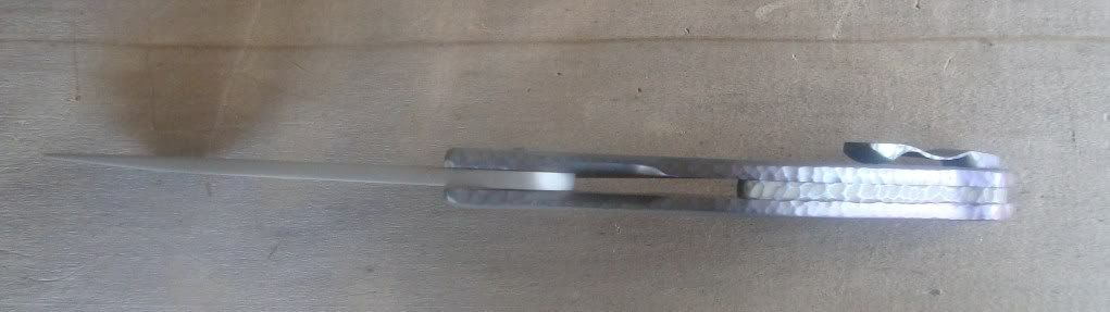 flipper12710031.jpg