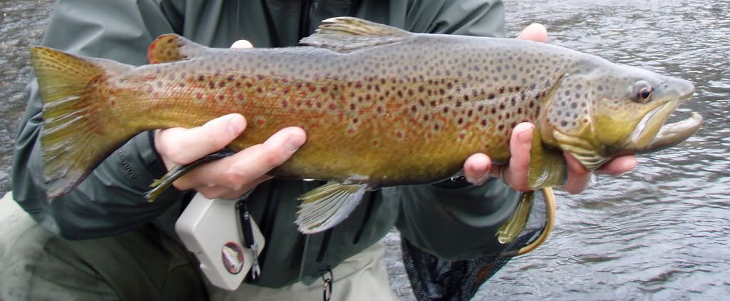 P1010078_2.jpg