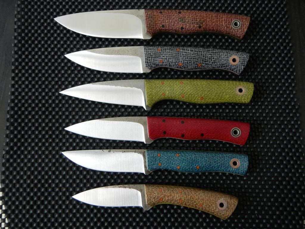 ShadeTree518141small.jpg