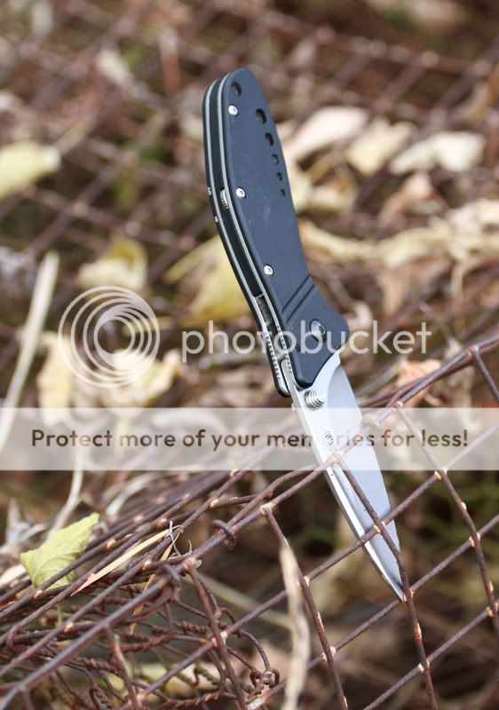 test5.jpg