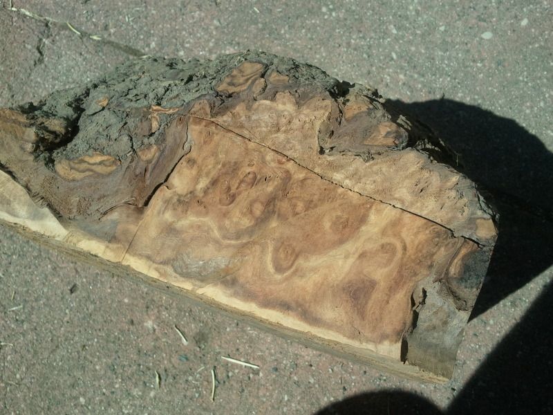 2012-06-08101334.jpg