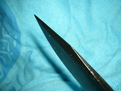 1446922648_66a55dccf8_m.jpg
