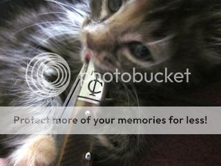 IMG_9894.jpg~original