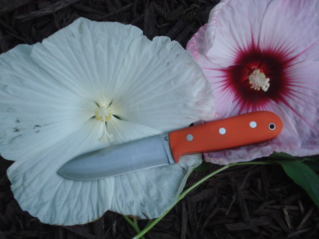 JK2003.jpg