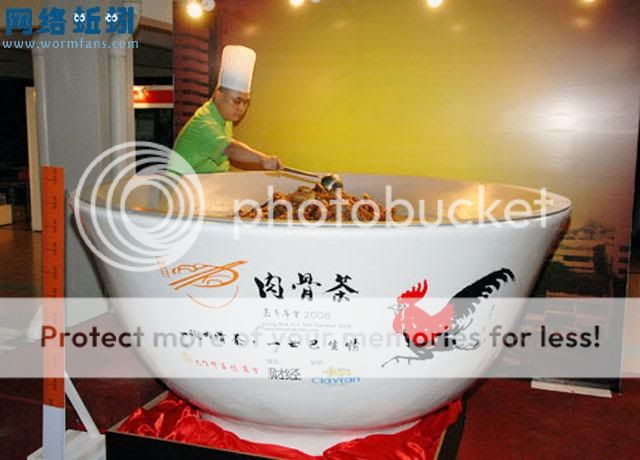 LargestBowl_zps3698a2a7.jpg